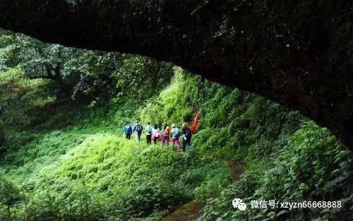 喝酒对健身不利，但避免不了，那喝大了，怎么才能更快恢复？游戏画面