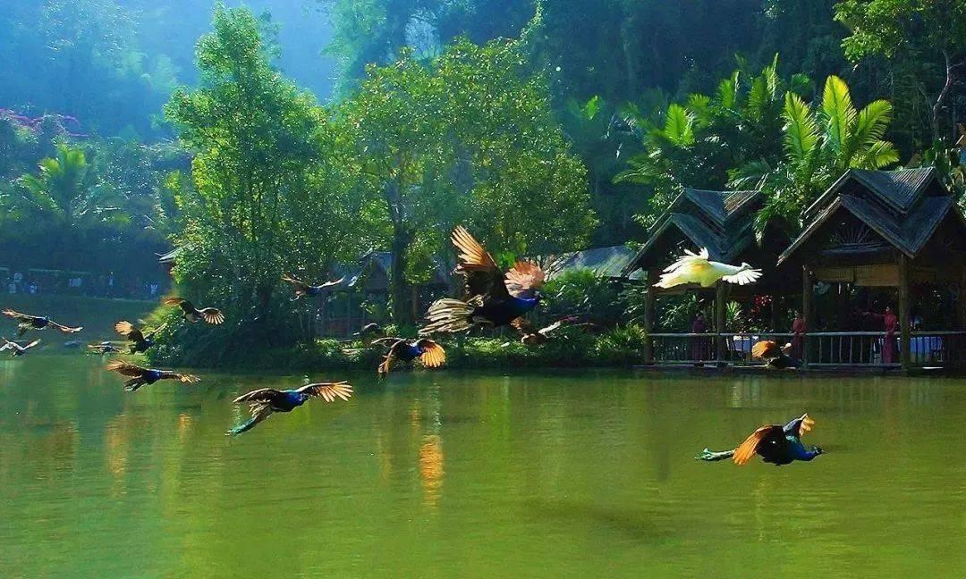 土耳其外长与哈马斯领导人会晤：讨论加沙停火等问题