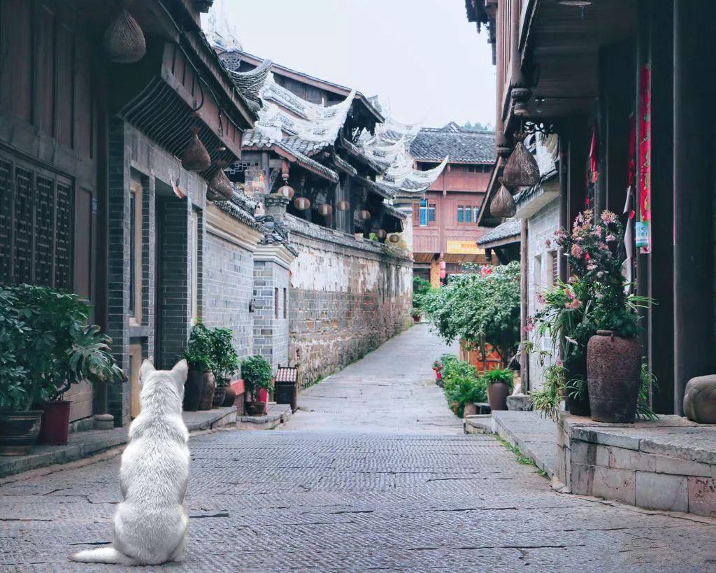 命运2